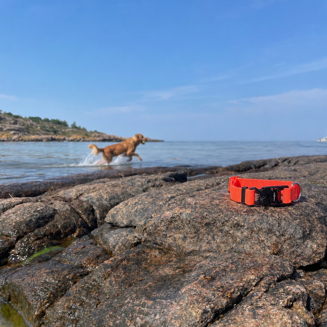 Nordic Trail Collar