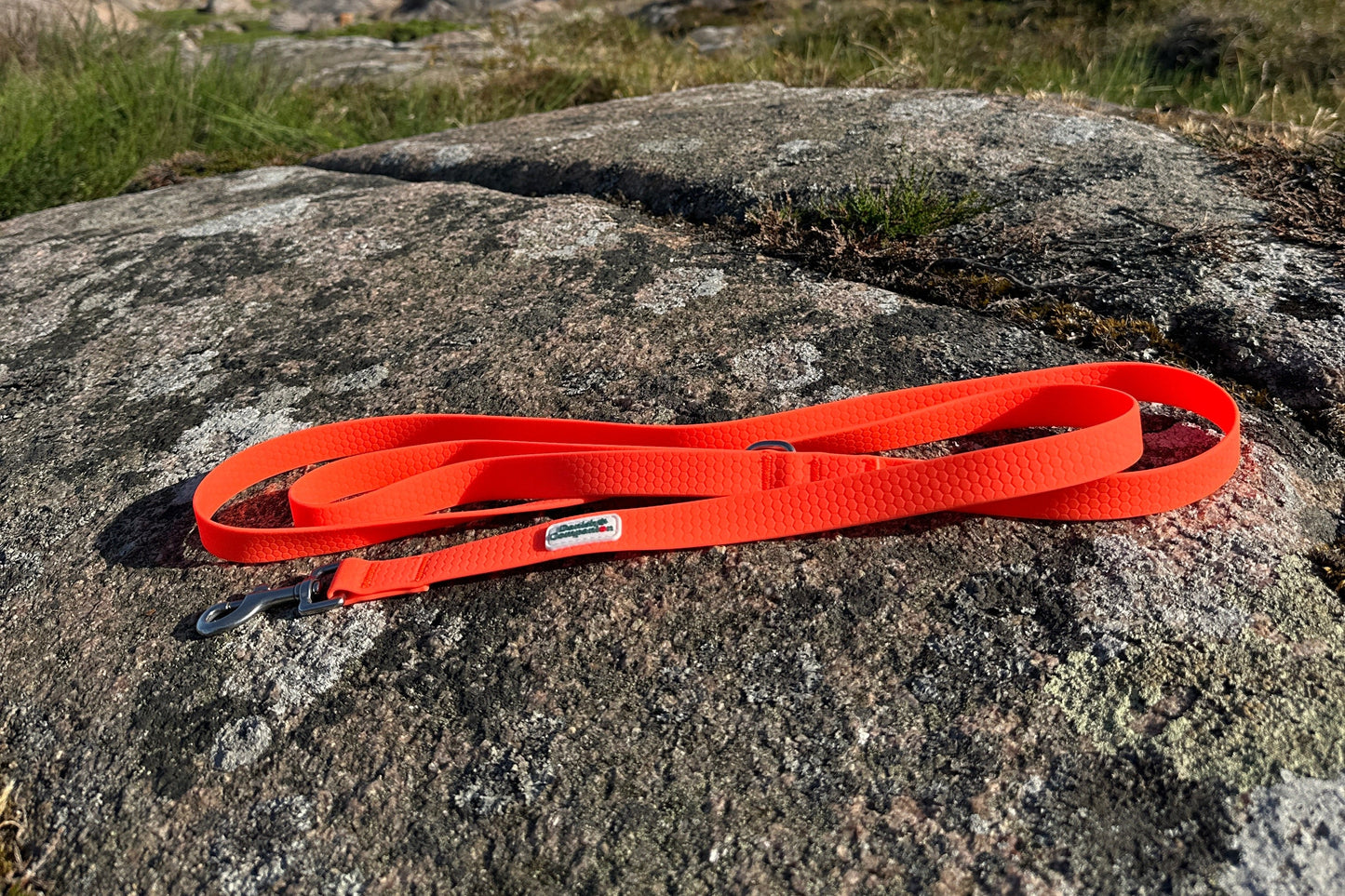 Nordic Trail Leash