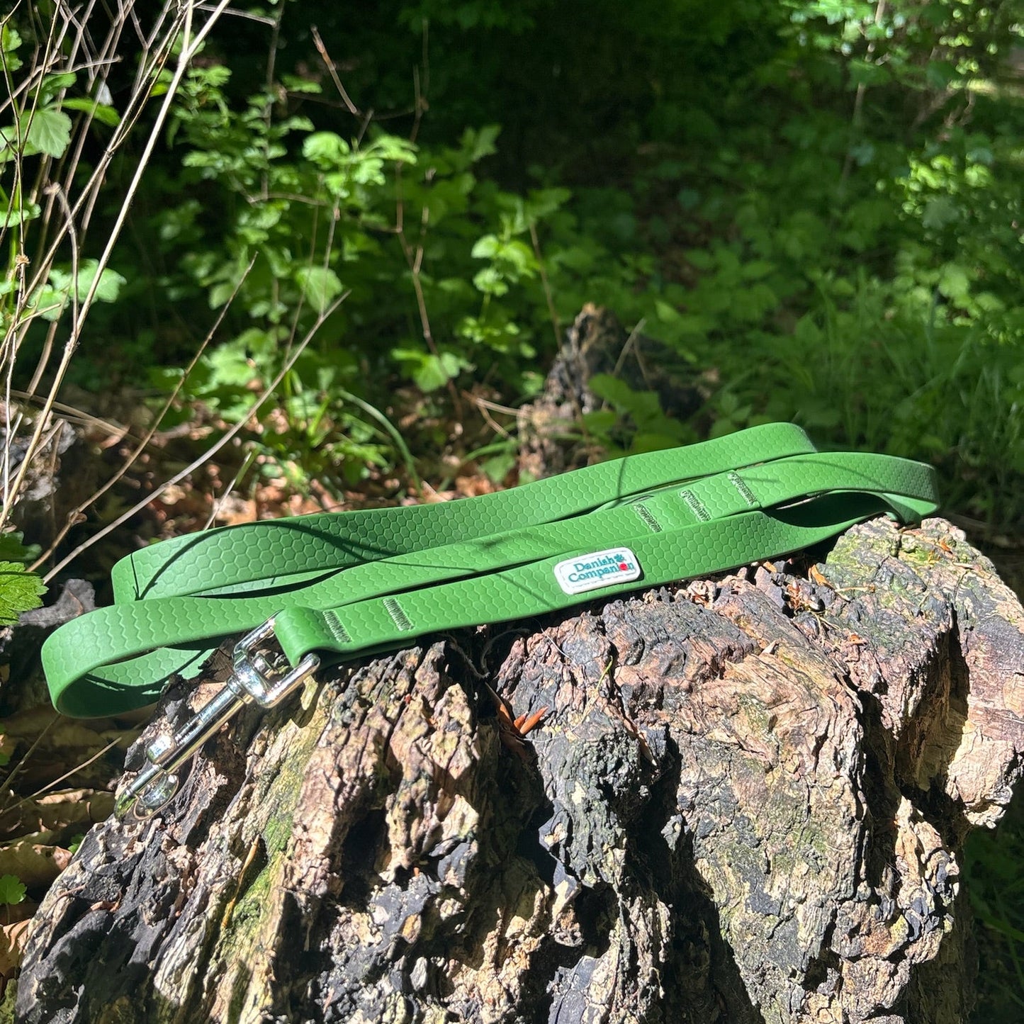 Nordic Trail Leash