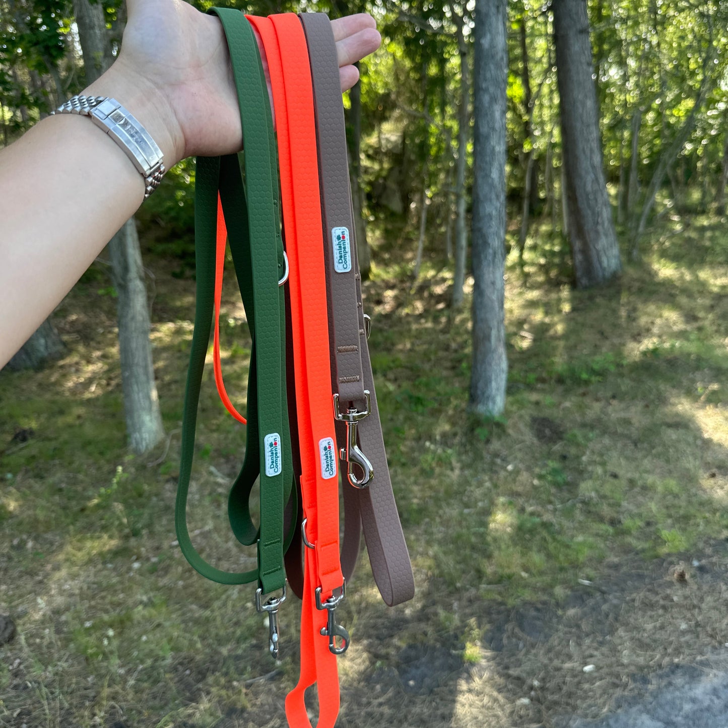 Nordic Trail Leash