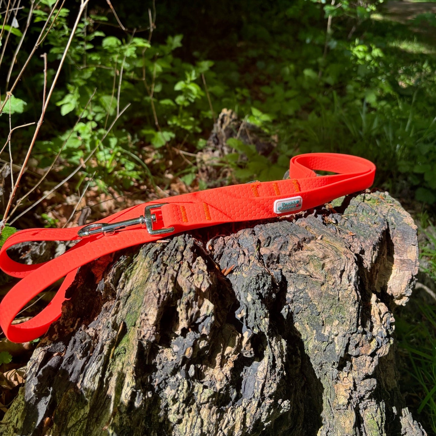 Nordic Trail Leash