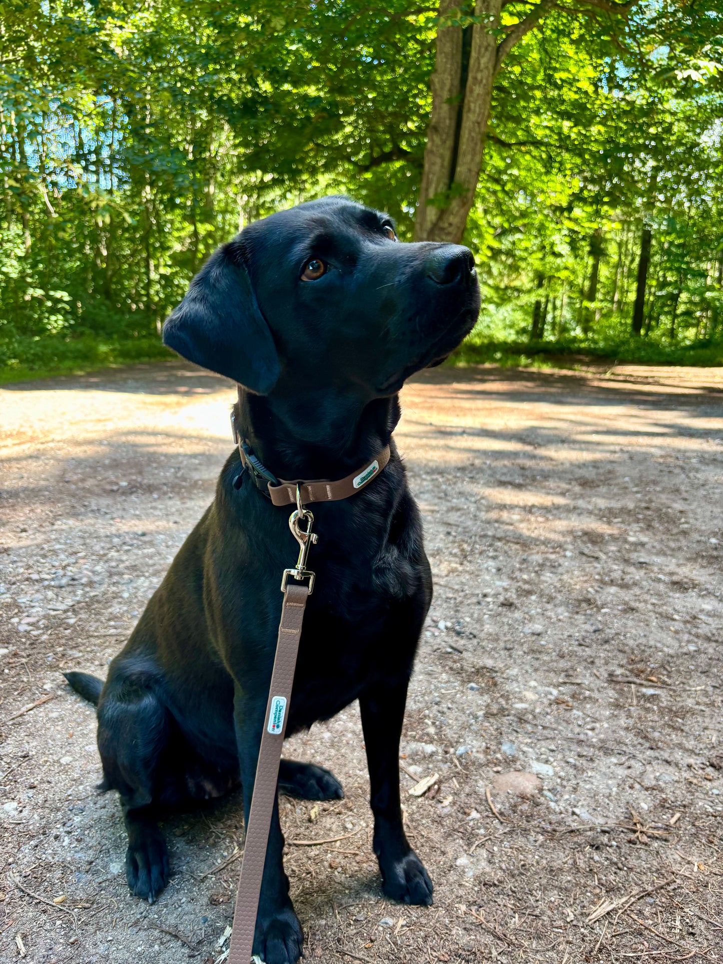 Nordic Trail Leash