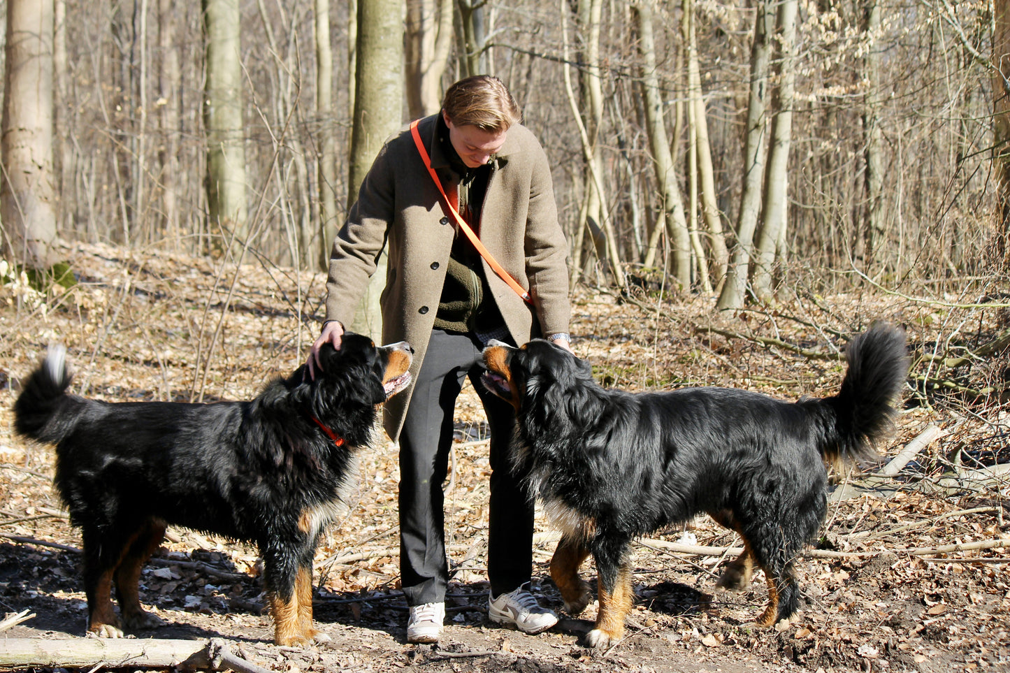 Nordic Trail Leash