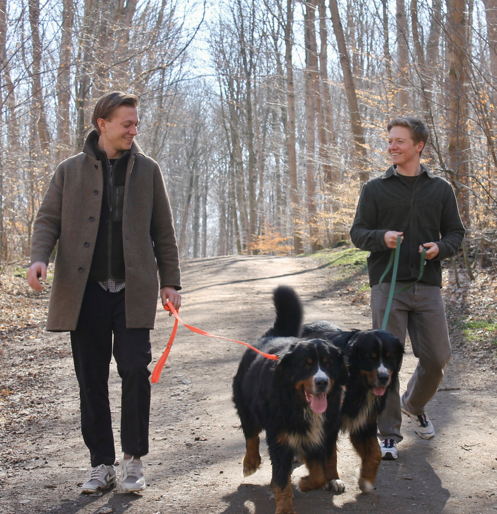 The Founders Behind Danish Companion