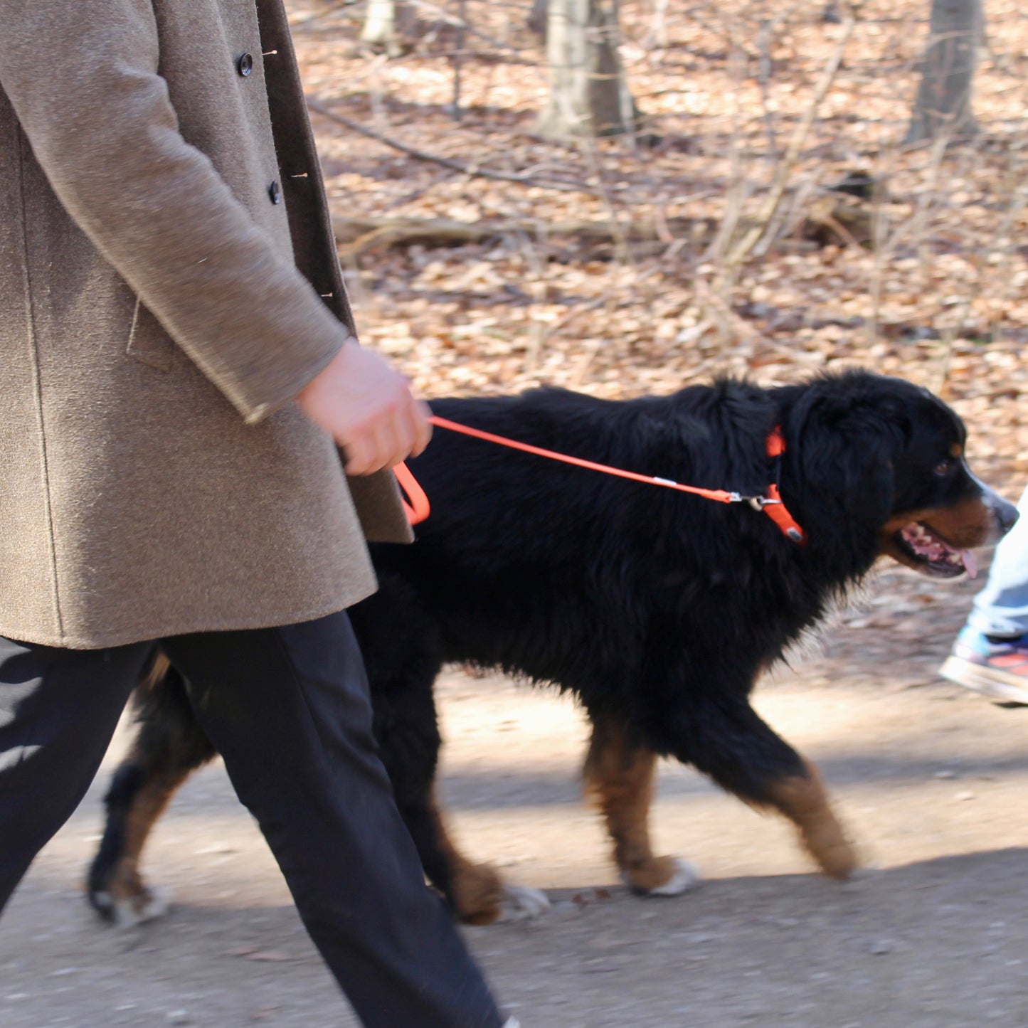 Nordic Trail Leash