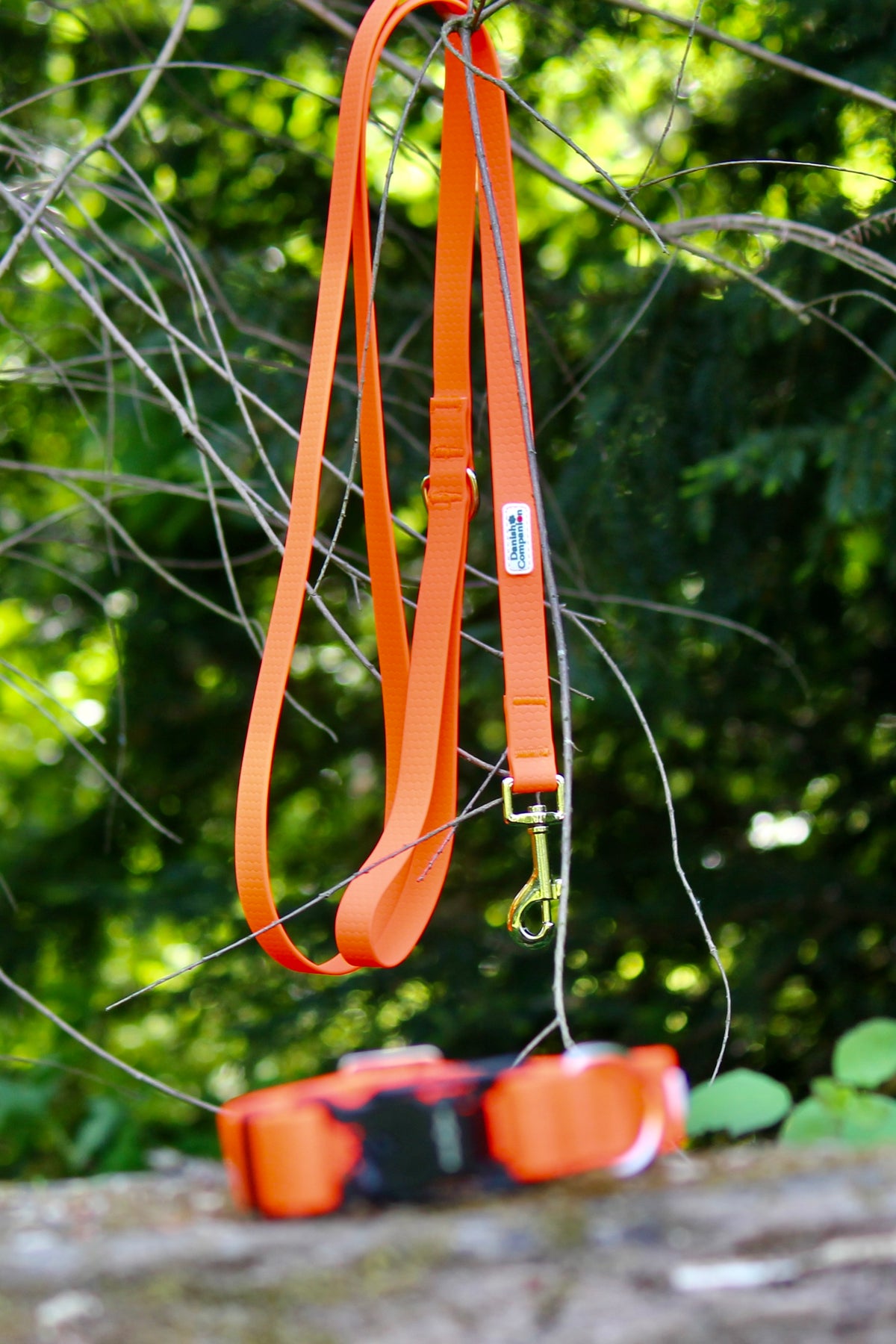Nordic Trail Leash