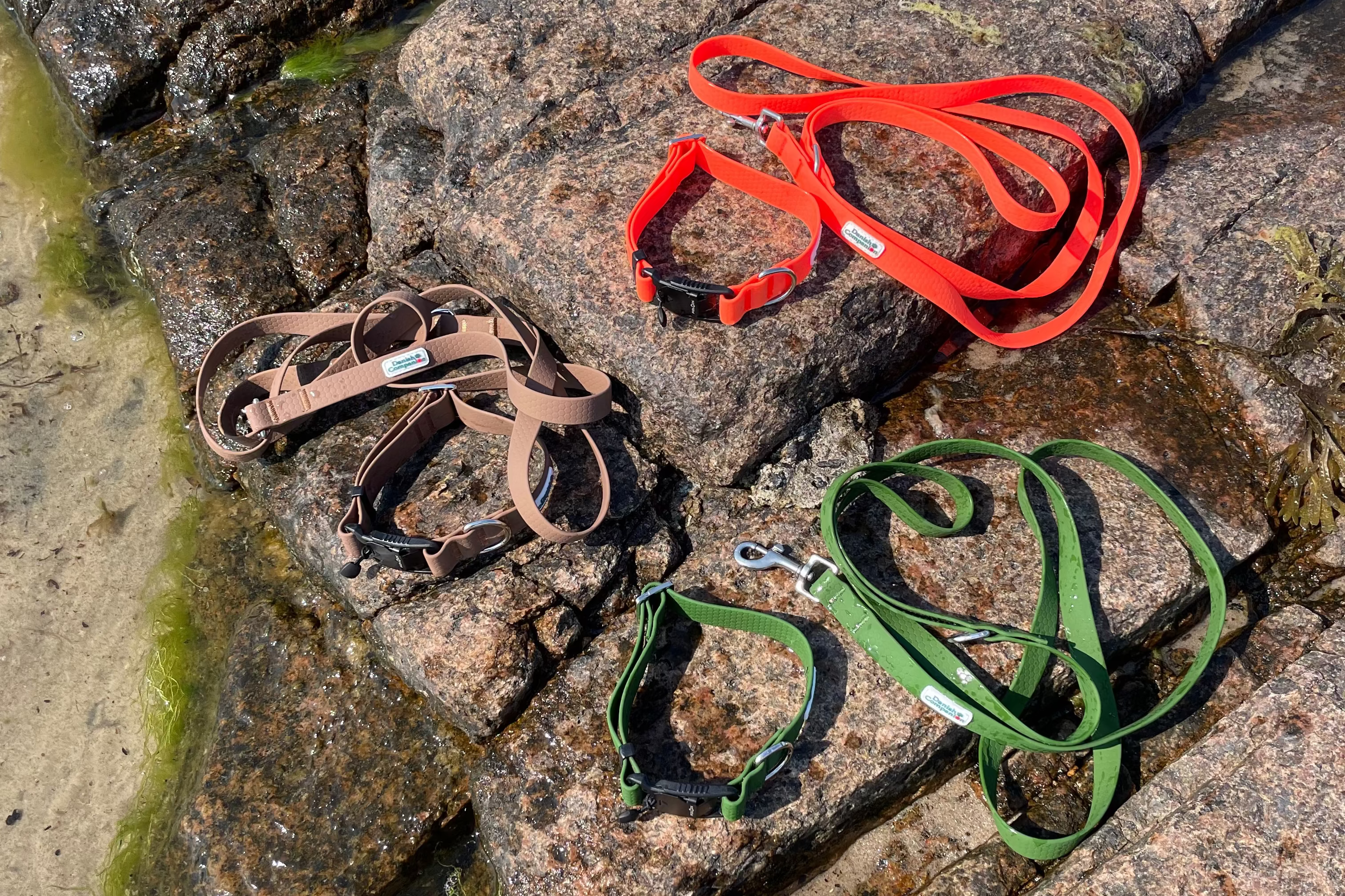 Nordic Trail Bundle